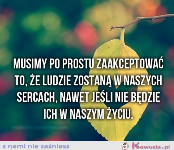 Musimy po prostu...
