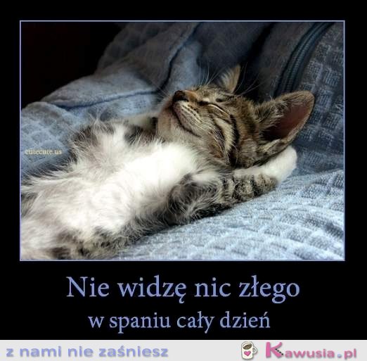 Nie widzę nic złego