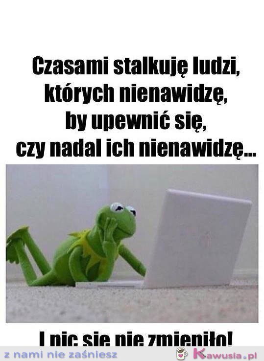 I nic się nie zmieniło