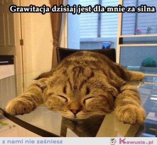 Grawitacja jest dziś dla mnie za silna
