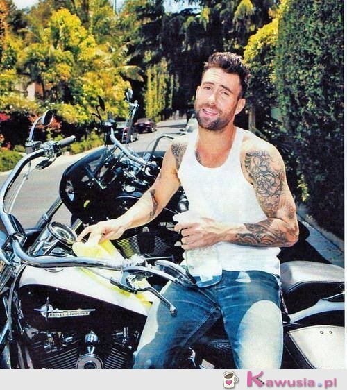 Adam Levine