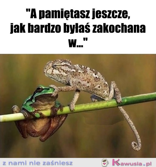 Dobra, koniec opowieści...