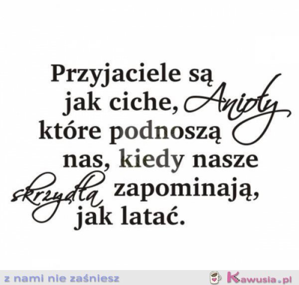 Przyjaciele...