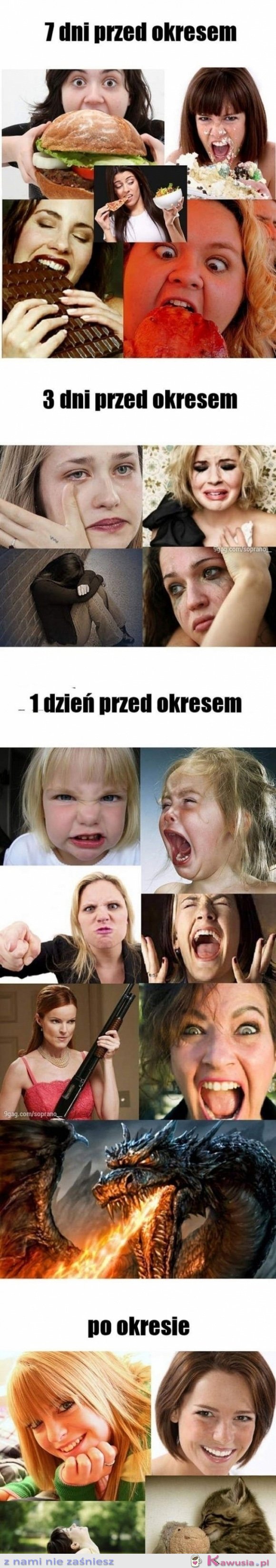 Fazy okresu