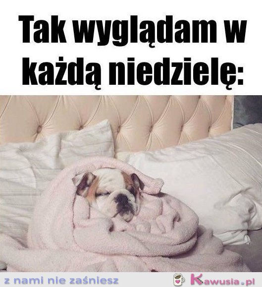 Niedzielny leń...