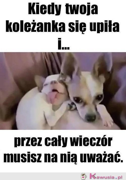 No i zaczęło się...