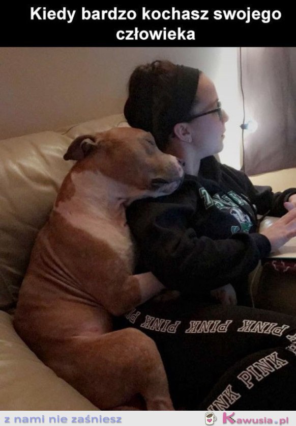 KOCHAM CIĘ CZŁOWIEK