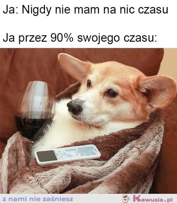 MOJE ŻYCIE TO JEDNA WIELKA PORAŻKA