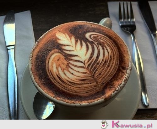 Kawka ^^