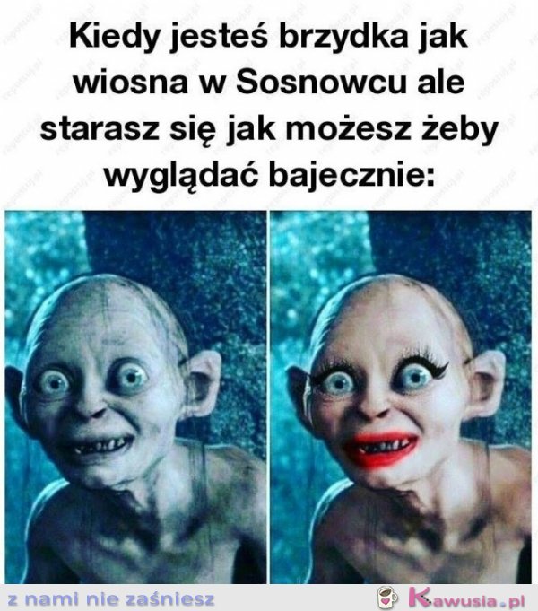 Kiedy jesteś brzydka jak wiosna w Sosnowców