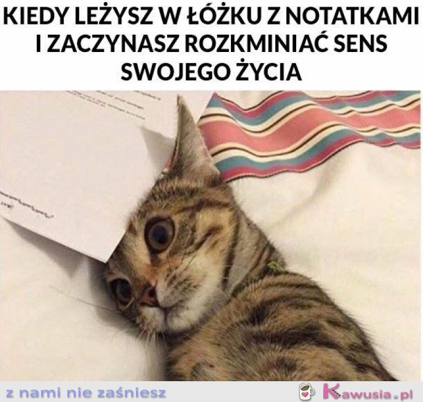 TEŻ TAK MACIE...