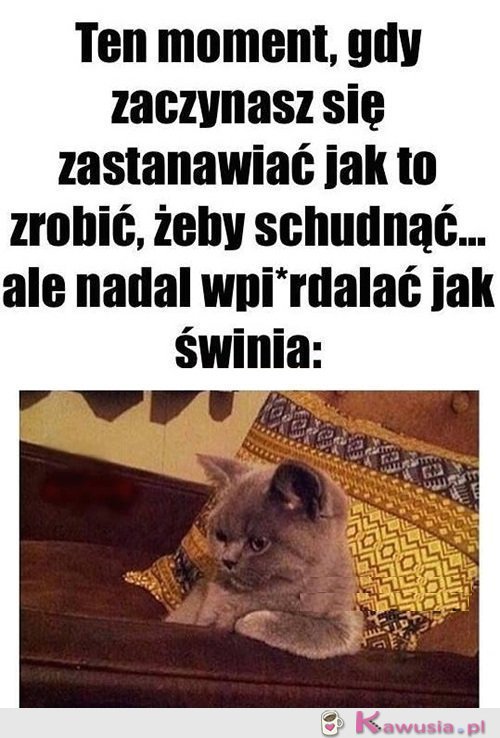 Oto jest pytanie...