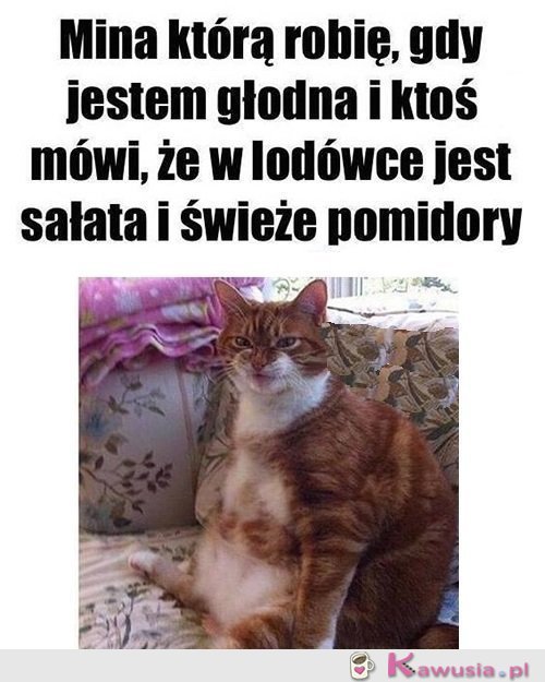 Gdy jestem głodna