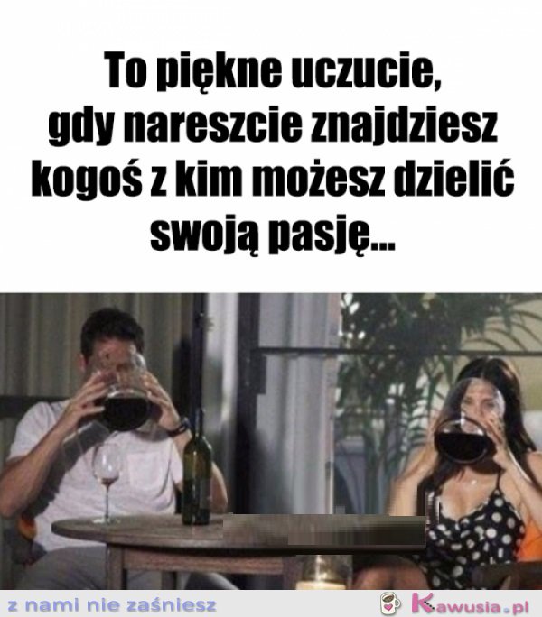 Wspólna pasja, wzajemna motywacja...