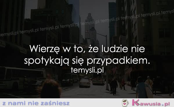 Szczerze w to wierzę