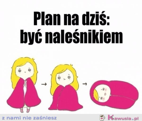 Plan idealny..