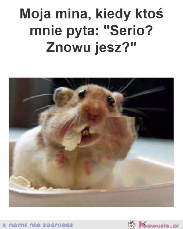 A Ty, znowu jesz