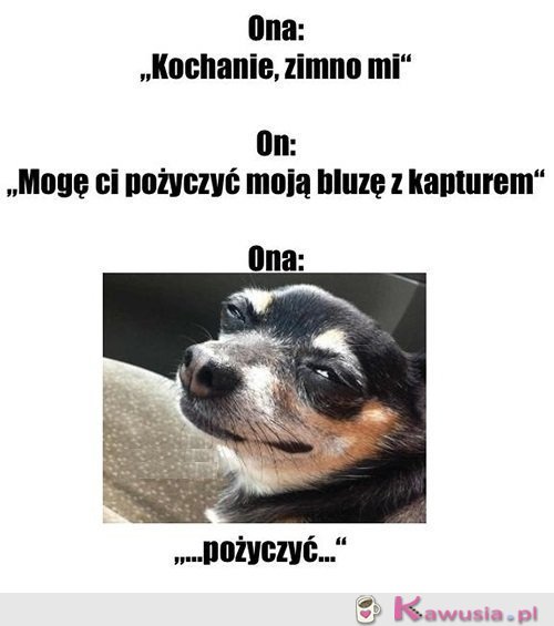 Już jej nie odzyskasz...