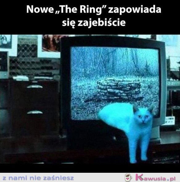 Nowy odcinek The Ring