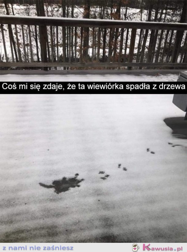 TAK TYLKO ZGADUJE
