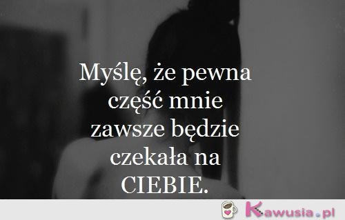 Pewna część mnie
