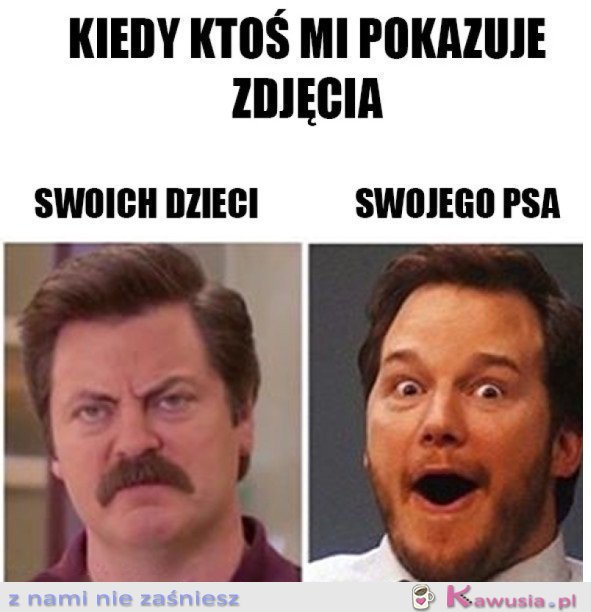 OGLĄDANIE ZDJĘĆ