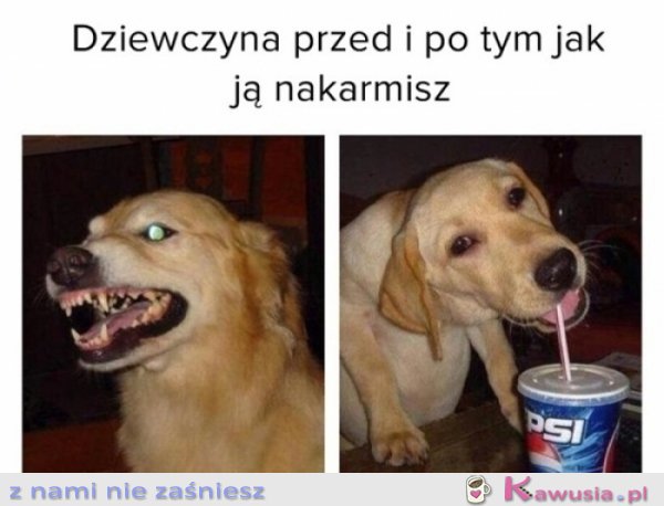 Dziewczyny nie są skomplikowane