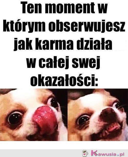 Zaczynamy zabawę...