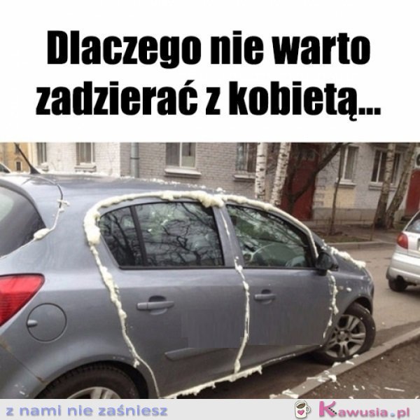 Powód nr 1...