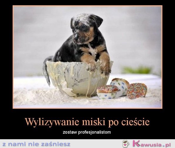 Wylizywanie miski...