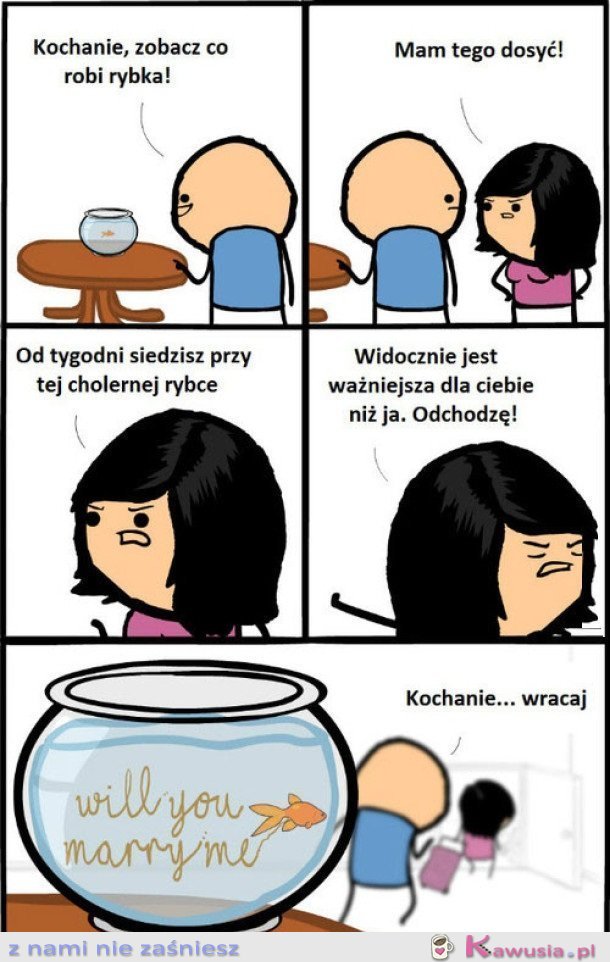 Kochanie zobacz