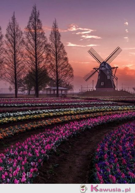 Kocham takie miejsca