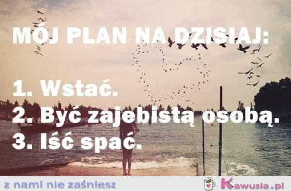 Ambitny plan na dziś