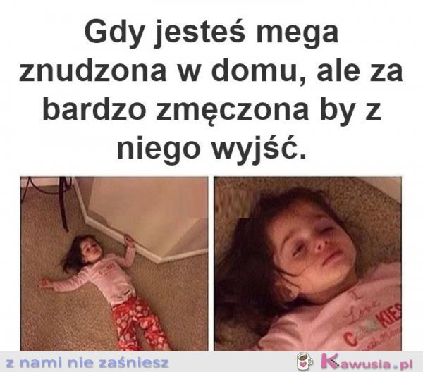 Nic mi się nie chce