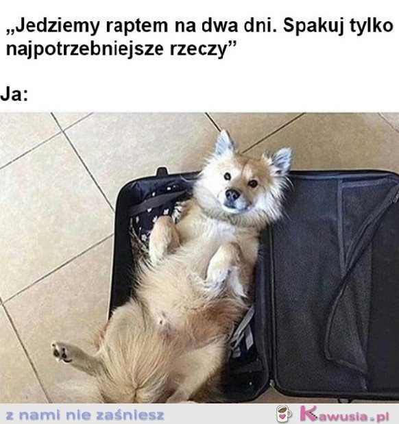 SPAKOWANA DO PODRÓŻY