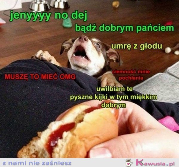 Jak bym słyszała mojego pieseła