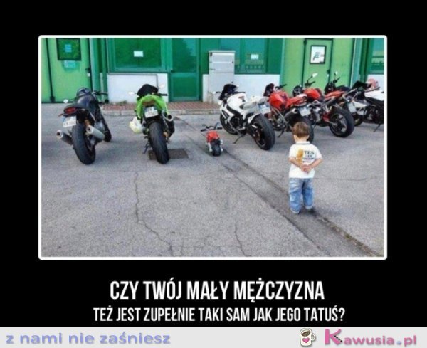 Czy twój mały mężczyzna