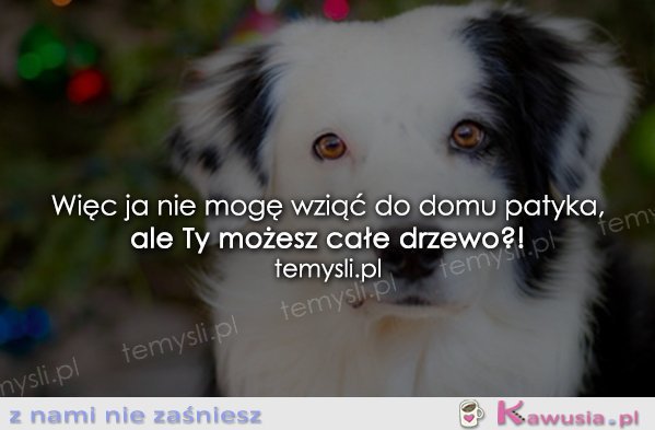 To jest bardzo niesprawiedliwe