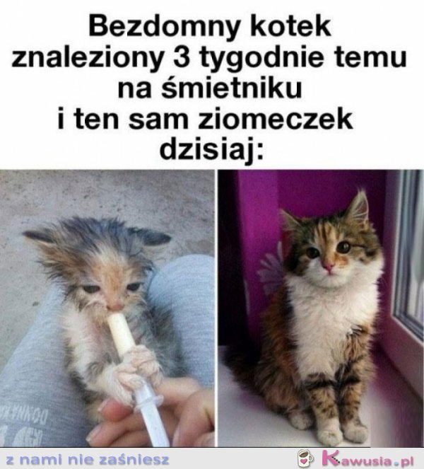Ludzie mają czasami dobre serce