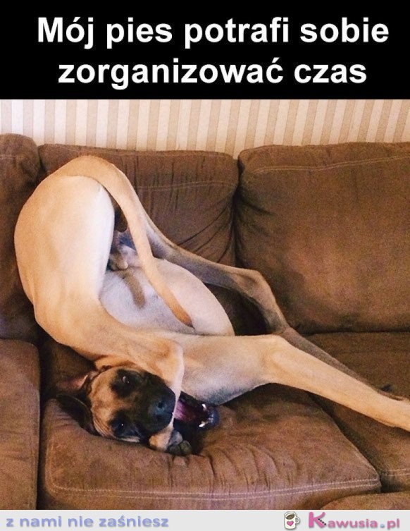 MUSZĘ SIĘ TEŻ NAUCZYĆ