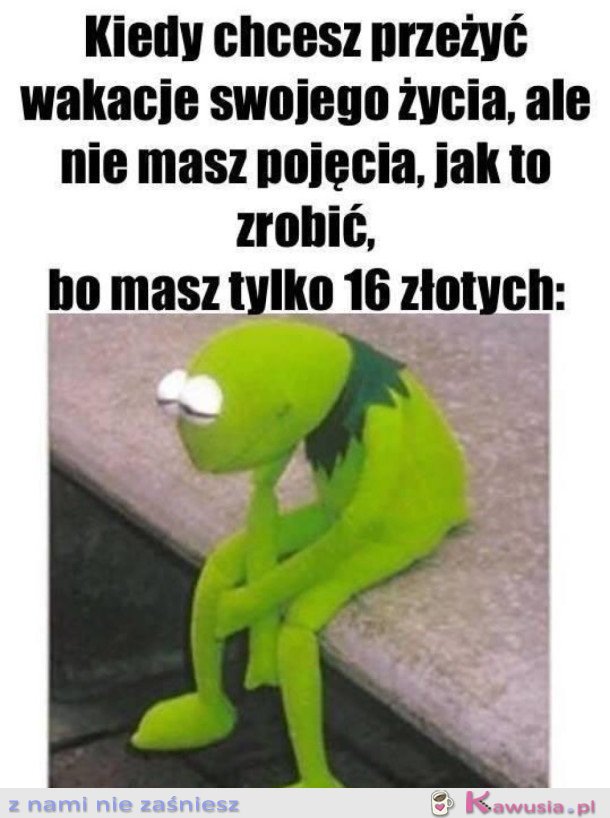 SZALEŃSTWO W WAKACJE