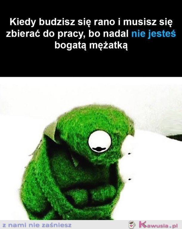 KOLEJNY DZIEŃ