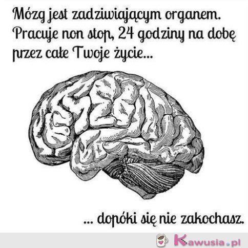 Mózg jest zadziwiającym organem...