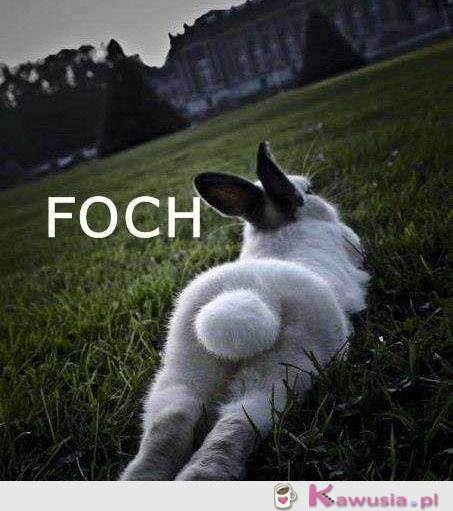 Foch  