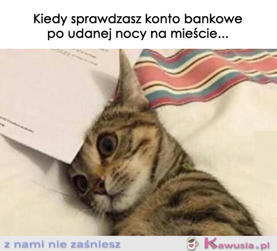 Kiedy sprawdzasz konto bankowe..