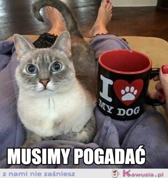 Coś tu nie gra...