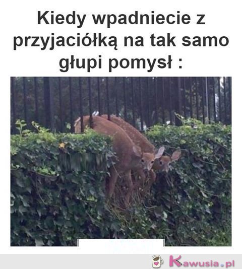 Na moją przyjaciółkę zawsze mogę liczyć