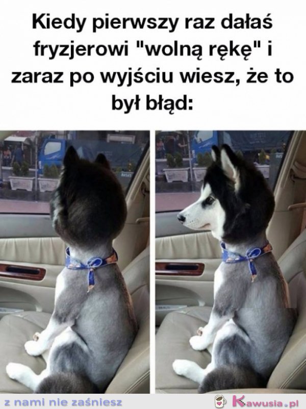 Dałam fryzjerowi " wolną rękę"