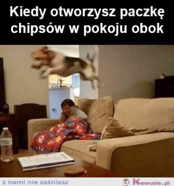 CZY KTOŚ POWIEDZIAŁ CHIPSY