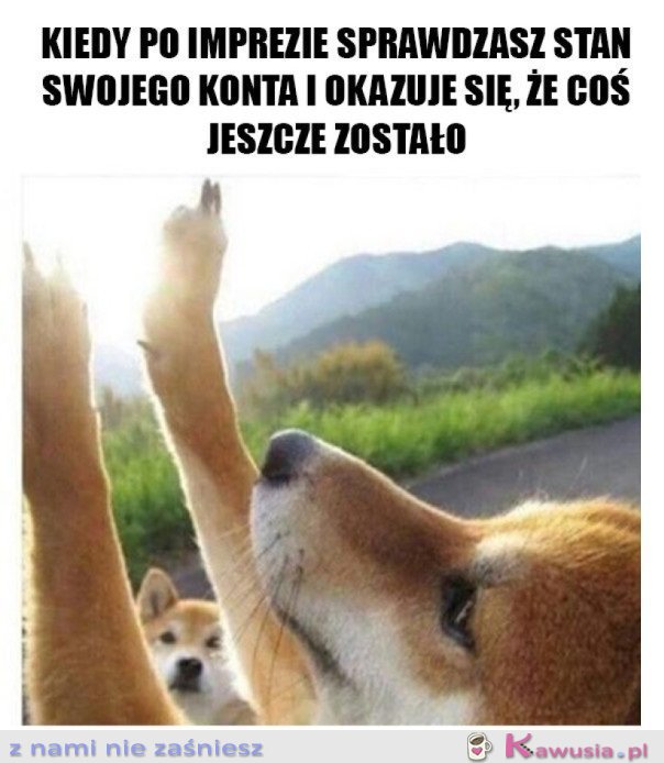 JESZCZE JEST ODROBINA KASY